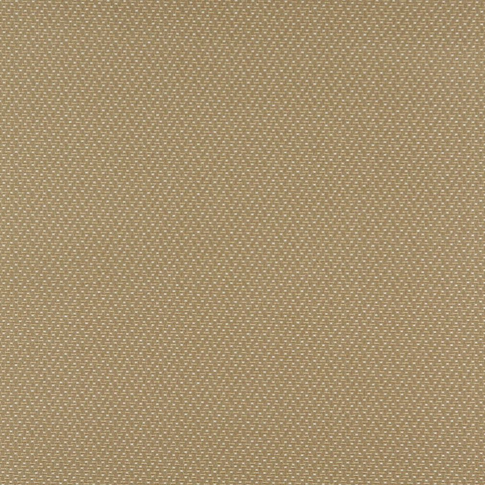 3743 Ecru by Charlotte Designer Fabric Decorative Durables XII & Ring Book Page 35A 52% Olefin, 48% Polyester Made In USA Exceeds 150,000 Wyzenbeek Rubs (Heavy Duty) Horizontal: .5" x Vertical: .5" 54 Inches - Swanky Fabrics -