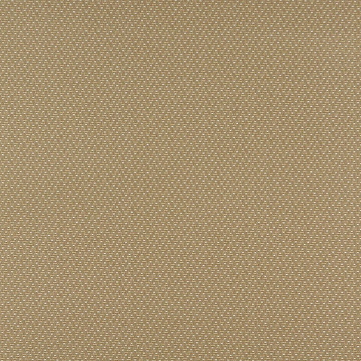 3743 Ecru by Charlotte Designer Fabric Decorative Durables XII & Ring Book Page 35A 52% Olefin, 48% Polyester Made In USA Exceeds 150,000 Wyzenbeek Rubs (Heavy Duty) Horizontal: .5" x Vertical: .5" 54 Inches - Swanky Fabrics -