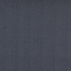 3744 Navy by Charlotte Designer Fabric