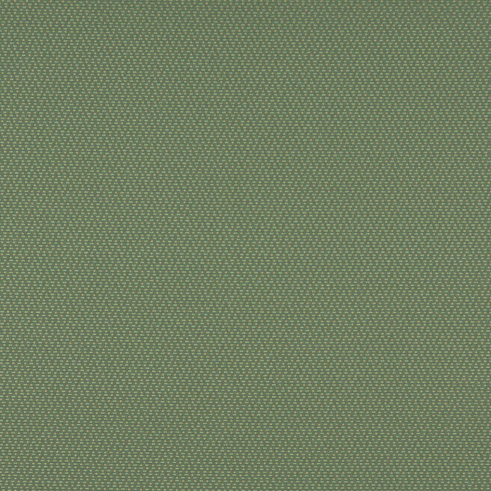3745 Meadow by Charlotte Designer Fabric Decorative Durables XII & Ring Book Page 35A 52% Olefin, 48% Polyester Made In USA Exceeds 150,000 Wyzenbeek Rubs (Heavy Duty) </p><p>Repeat: Horizontal: .5" x Vertical: .5" 54 Inches - Swanky Fabrics -