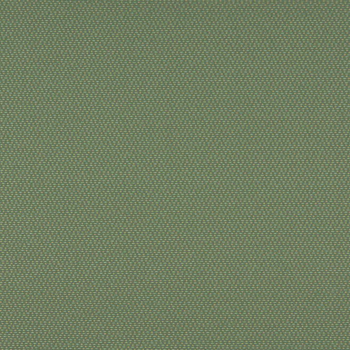 3745 Meadow by Charlotte Designer Fabric Decorative Durables XII & Ring Book Page 35A 52% Olefin, 48% Polyester Made In USA Exceeds 150,000 Wyzenbeek Rubs (Heavy Duty) Horizontal: .5" x Vertical: .5" 54 Inches - Swanky Fabrics -