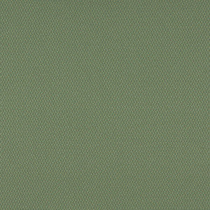 3745 Meadow by Charlotte Designer Fabric