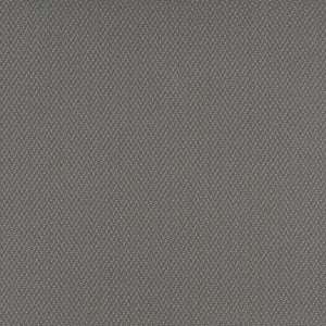 3746 Pewter by Charlotte Designer Fabric