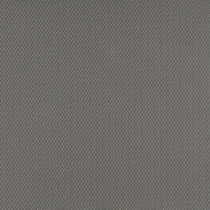 3746 Pewter by Charlotte Designer Fabric Decorative Durables XII & Ring Book Page 35A 52% Olefin, 48% Polyester Made In USA Exceeds 150,000 Wyzenbeek Rubs (Heavy Duty) </p><p>Repeat: Horizontal: .5" x Vertical: .5" 54 Inches - Swanky Fabrics -