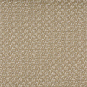 3751 Shell by Charlotte Designer Fabric