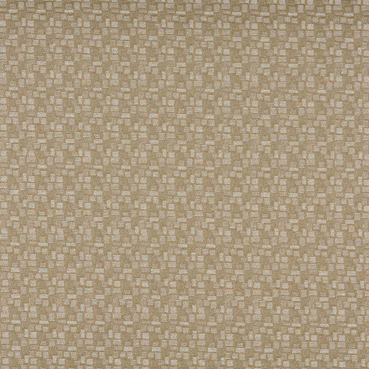 3751 Shell by Charlotte Designer Fabric Decorative Durables XII 45% Cotton, 44% Polyester, 11% Acrylic Made In USA Exceeds 150,000 Wyzenbeek Rubs (Heavy Duty) Horizontal: 3.25" x Vertical: 1.25" 54 Inches - Swanky Fabrics -