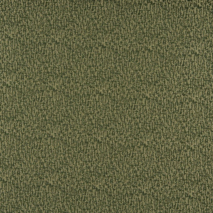 3765 Avocado by Charlotte Designer Fabric Decorative Durables XI 80% Polyester, 20% Olefin Made In USA Exceeds 150,000 Wyzenbeek Rubs (Heavy Duty) No Repeat 54 Inches - Swanky Fabrics -