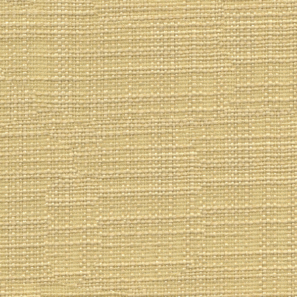 3767.116 by Kravet Basics Designer Fabric our website for purchase Polyester 100% India see sample Horizontal: see sample and Vertical: see sample 54 inches - Swanky Fabrics -