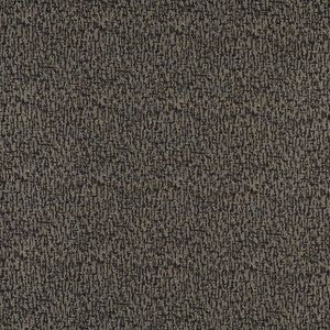 3767 Charcoal by Charlotte Designer Fabric