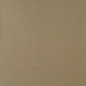 3774 Sand by Charlotte Designer Fabric