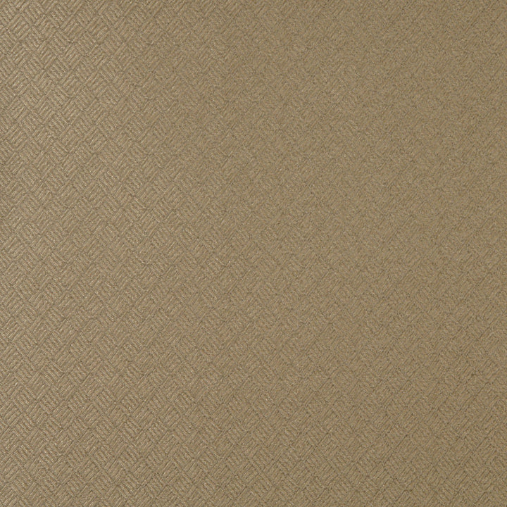 3774 Sand by Charlotte Designer Fabric Decorative Durables XI 55% Polyester, 45% Olefin Made In USA Exceeds 150,000 Wyzenbeek Rubs (Heavy Duty) </p><p>Repeat: Horizontal: 1.75" x Vertical: 1.5" 54 Inches - Swanky Fabrics -