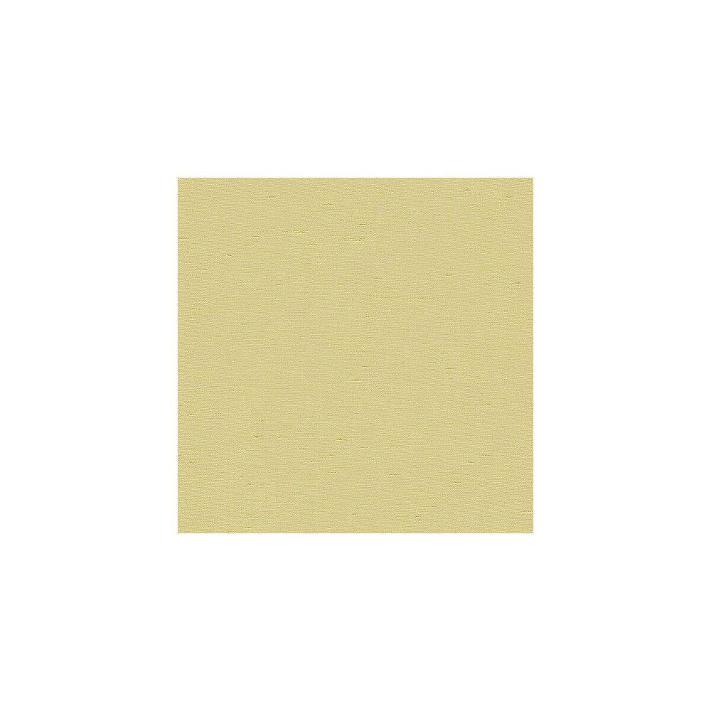 Kravet Basics 3777-116 by Kravet Basics Fabric Kravet Basics Fabric Kravet Basics 3777-116Fabric POLYESTER - 100% India </p><p>Repeat: H: , V: 54 - Fabric Carolina -