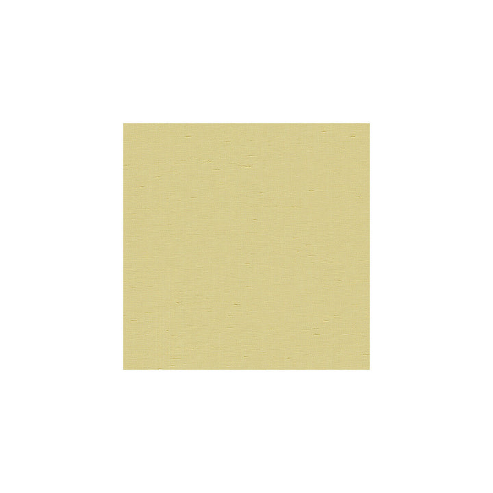 3777-116 by Kravet Basics Designer Fabric - POLYESTER - 100% India HEAVY Horizontal: - and Vertical: - 54 - Swanky Fabrics -