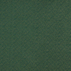 3778 Juniper by Charlotte Designer Fabric