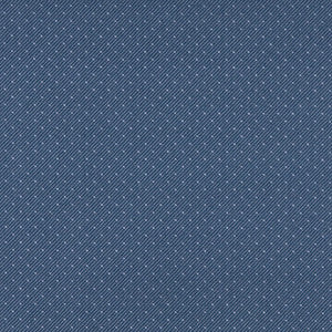 3801 Denim by Charlotte Designer Fabric