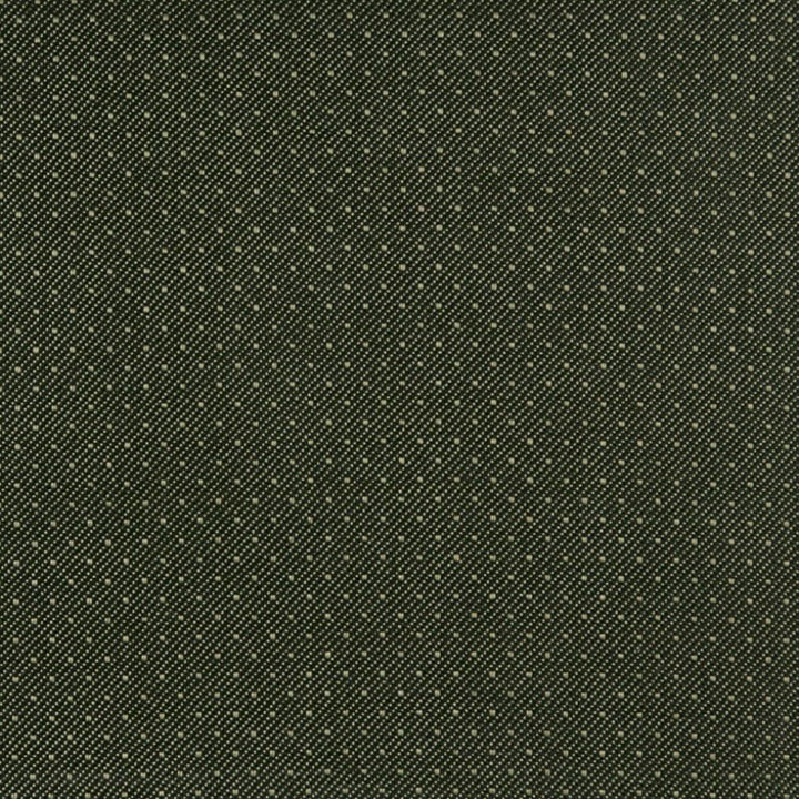 3806 Moss by Charlotte Designer Fabric Decorative Durables XI 100% Olefin Made In USA Exceeds 150,000 Wyzenbeek Rubs (Heavy Duty) Horizontal: .5" x Vertical: .5" 54 Inches - Swanky Fabrics -