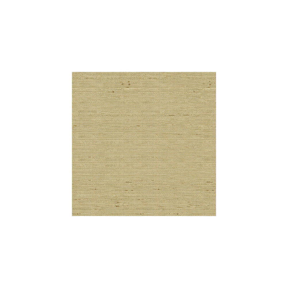3807-1616 by Kravet Basics Designer Fabric - POLYESTER - 100% India - Horizontal: - and Vertical: - 54 - Swanky Fabrics -