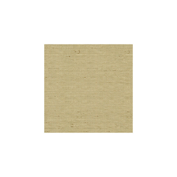 3807-1616 by Kravet Basics Designer Fabric POLYESTER - 100% India Horizontal: and Vertical: 54 - Swanky Fabrics -