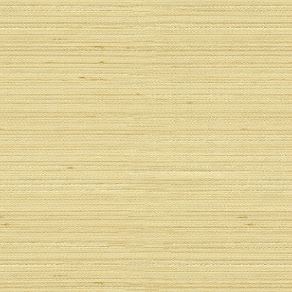 3808.1116 by Kravet Basics Designer Fabric in our sample Polyester 100% India See Sample Horizontal: See Sample and Vertical: See Sample 54 inches - Swanky Fabrics -