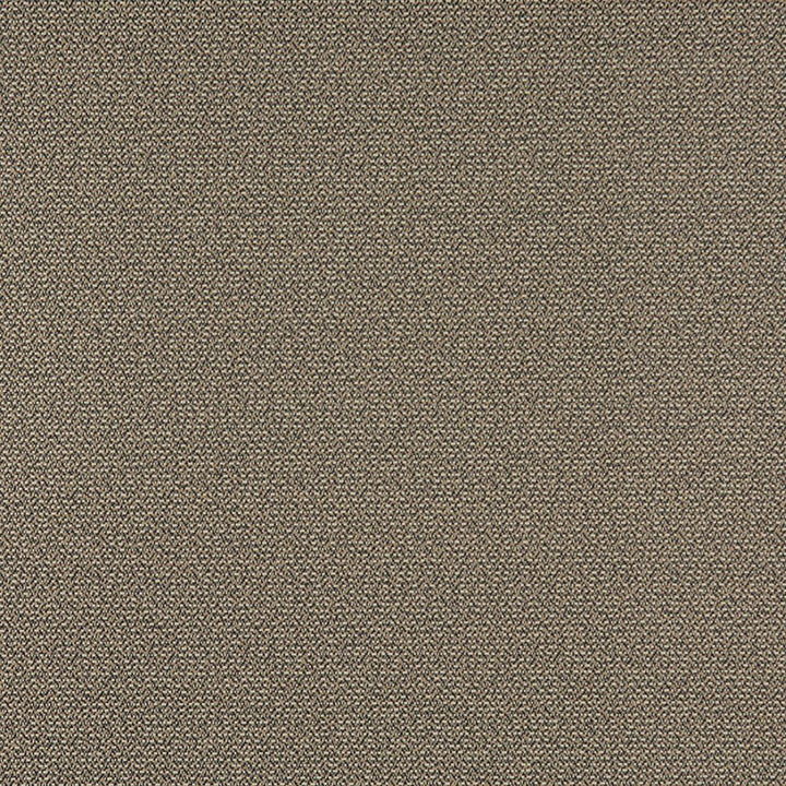 3820 Pebble by Charlotte Designer Fabric Decorative Durables XI 69% Olefin, 31% Polyester Made In USA Exceeds 150,000 Wyzenbeek Rubs (Heavy Duty) No Repeat 54 Inches - Swanky Fabrics -