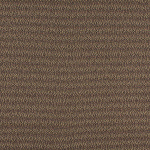 3825 Mocha by Charlotte Designer Fabric