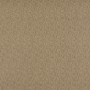 3827 Truffle by Charlotte Designer Fabric