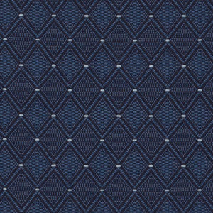 3828 Baltic by Charlotte Designer Fabric