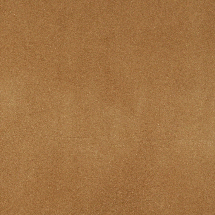 3859 Camel by Charlotte Designer Fabric Vivid Velvets 100% Nylon Velvet Made In USA Exceeds 100,000 Wyzenbeek Rubs (Heavy Duty) No Repeat 54 Inches - Swanky Fabrics -