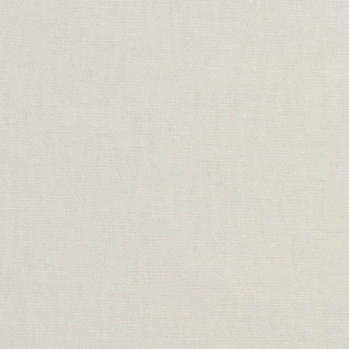 3880 Charcoal by Charlotte Designer Fabric Cotton Duck 100% Cotton 12 oz. Preshrunk Canvas Duck Made In USA Exceeds 60,000 Wyzenbeek Rubs (Heavy Duty) No Repeat 54 Inches - Swanky Fabrics -