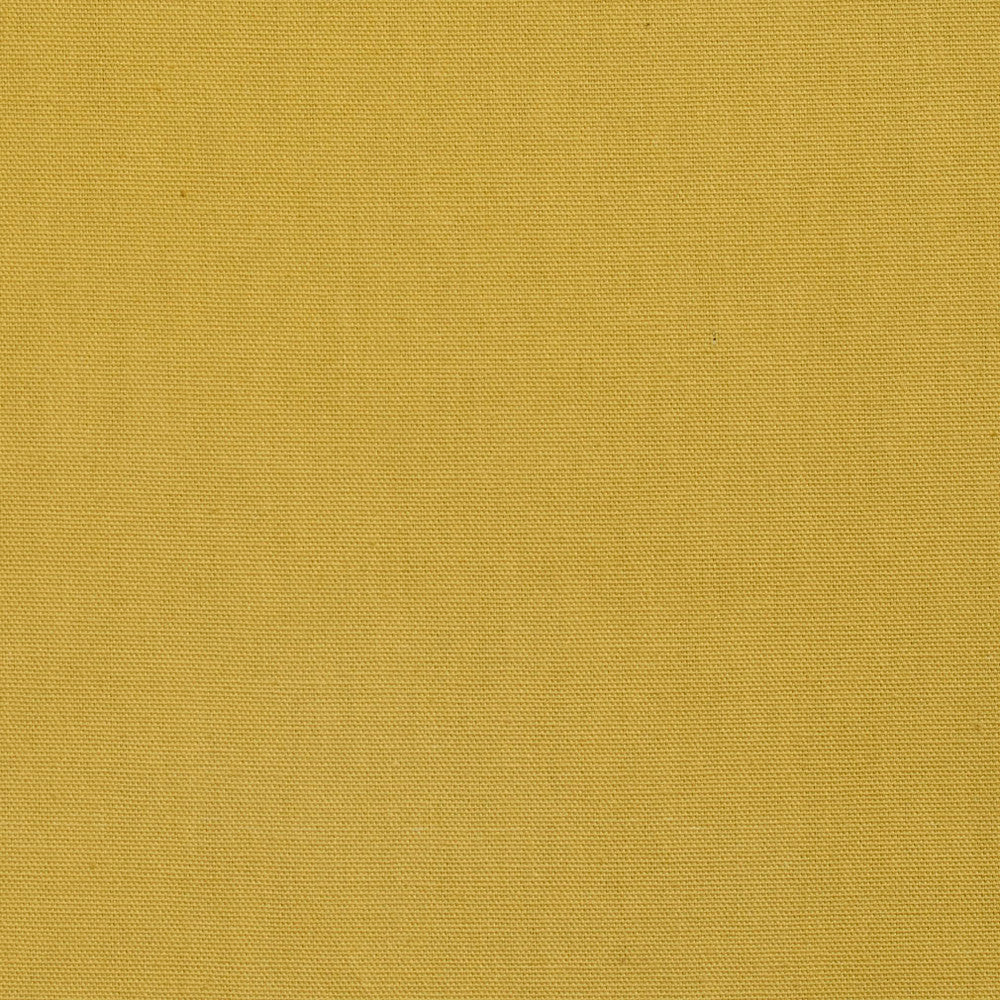 3883 Citrus by Charlotte Designer Fabric Cotton Duck 100% Cotton 12 oz. Preshrunk Canvas Duck Made In USA Exceeds 60,000 Wyzenbeek Rubs (Heavy Duty) No Repeat 54 Inches - Swanky Fabrics -