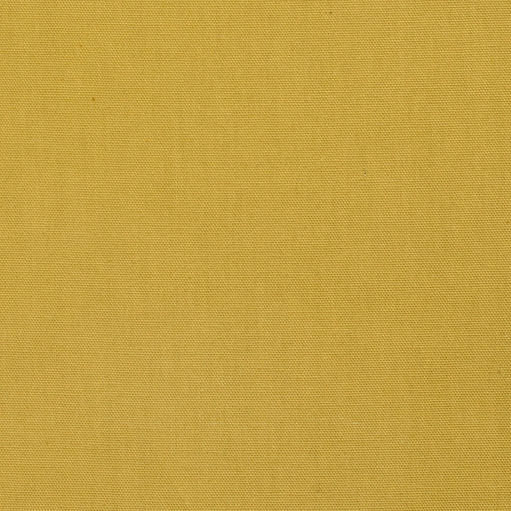 3883 Citrus by Charlotte Designer Fabric Cotton Duck 100% Cotton 12 oz. Preshrunk Canvas Duck Made In USA Exceeds 60,000 Wyzenbeek Rubs (Heavy Duty) No Repeat 54 Inches - Swanky Fabrics -