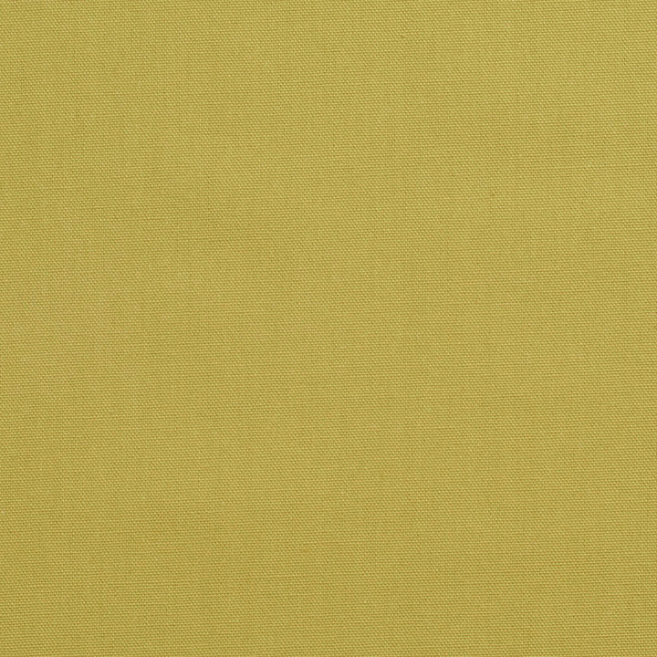 3890 Pear by Charlotte Designer Fabric Cotton Duck 100% Cotton 12 oz. Preshrunk Canvas Duck Made In USA Exceeds 60,000 Wyzenbeek Rubs (Heavy Duty) No Repeat 54 Inches - Swanky Fabrics -