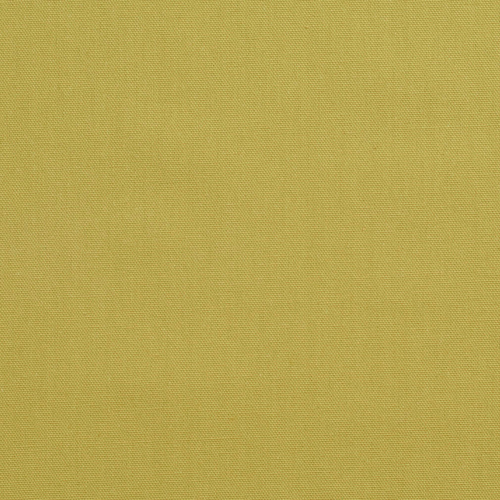 3890 Pear by Charlotte Designer Fabric Cotton Duck 100% Preshrunk Cotton, 12 oz. Made In USA Exceeds 60,000 Wyzenbeek Rubs (Heavy Duty) </p><p>Repeat: 54 Inches - Swanky Fabrics -
