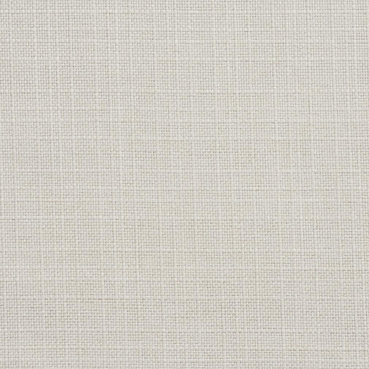 3900 Pearl by Charlotte Designer Fabric Textures Vol. 2 100% Woven Polyester Asia Exceeds 120,000 Wyzenbeek Rubs (Heavy Duty) No Repeat 54 Inches - Swanky Fabrics -