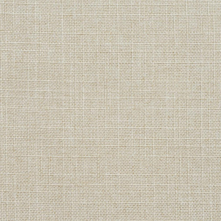 3906 Sand by Charlotte Designer Fabric Textures Vol. 2 100% Woven Polyester Asia Exceeds 120,000 Wyzenbeek Rubs (Heavy Duty) No Repeat 54 Inches - Swanky Fabrics -