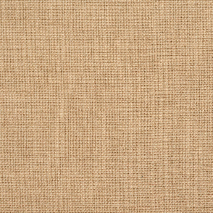 3910 Straw by Charlotte Designer Fabric Textures Vol. 2 100% Woven Polyester Asia Exceeds 120,000 Wyzenbeek Rubs (Heavy Duty) </p><p>Repeat: 54 Inches - Swanky Fabrics -