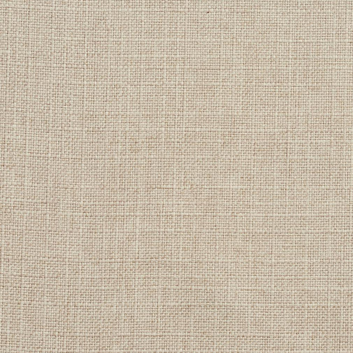 3925 Flax by Charlotte Designer Fabric Textures Vol. 2 100% Woven Polyester Asia Exceeds 120,000 Wyzenbeek Rubs (Heavy Duty) No Repeat 54 Inches - Swanky Fabrics -