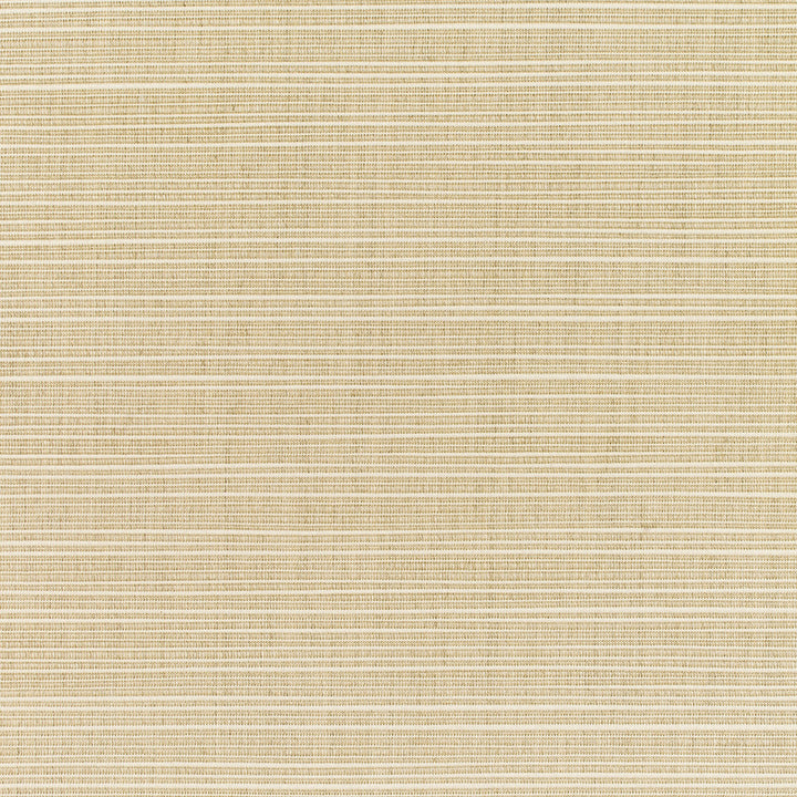 8011 77 Rain Dupione Sand by Sunbrella Designer Fabric Sunbrella Rain 100% Sunbrella® Acrylic USA or Imported 5-Year Horizontal: and Vertical: 60 yd. 54 in. - Swanky Fabrics -