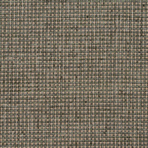 4005 Aloe by Charlotte Designer Fabric
