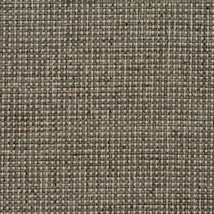 4005 Aloe by Charlotte Designer Fabric Decorative Durables X, Tweeds & Ring Book Page #21 100% Olefin Made In USA Exceeds 500,000 Wyzenbeek Rubs (Heavy Duty) No Repeat 54 Inches - Swanky Fabrics -