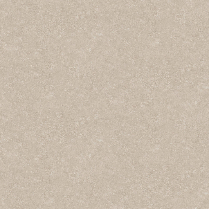 Rini Beige Distressed Wallpaper by Advantage Designer Windsong Covers about 57.5 square feet 20.9-in by 33-ft long roll Unpasted 0 - Swanky Fabrics -