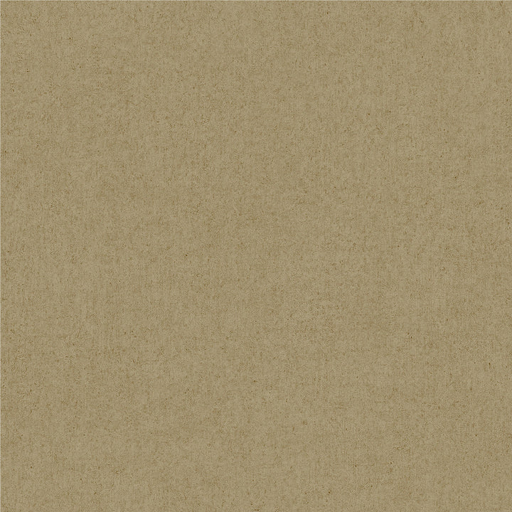 Colter Light Brown Texture Wallpaper by Advantage Designer Passport Covers about 57.5 square feet 20.9-in by 33-ft long roll Unpasted 0 - Swanky Fabrics -
