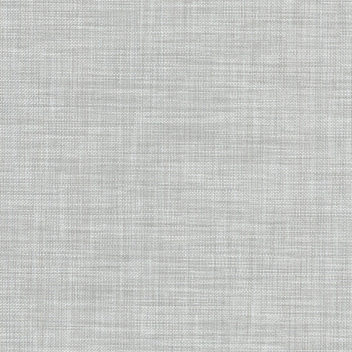 FLASHBACK SILVER 404414 by PKL Studio Designer Fabric - 55% Linen 45% Cotton India 51000 Horizontal: N/A and Vertical: N/A 54 - Swanky Fabrics -