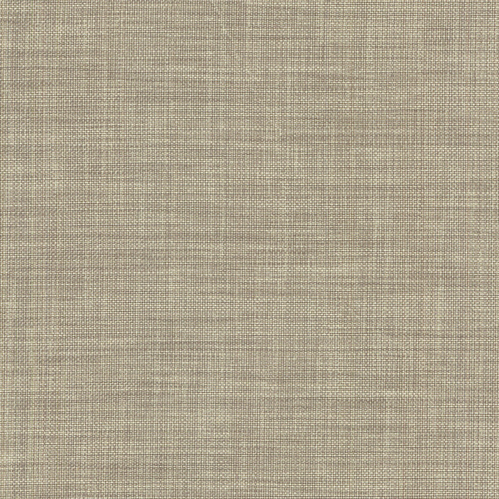 Flashback Mica 404417 by PKL Studio Designer Fabric - 65% Polyester 35% Cotton INDIA 51000 Horizontal: 0 and Vertical: 0 54 - Swanky Fabrics -