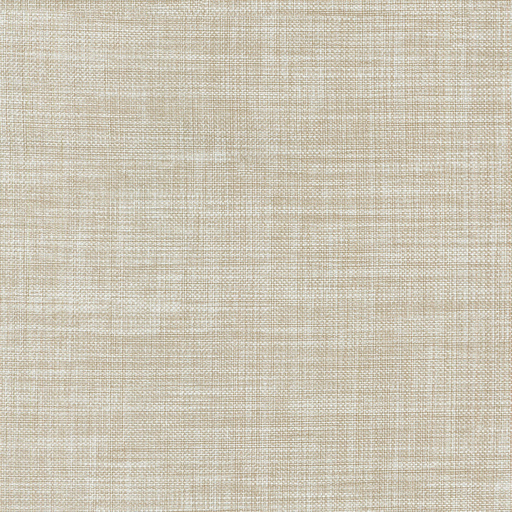 Flashback Corian 404501 by PKL Studio Designer Fabric - 65% POLYESTER 35% COTTON India 51000 Horizontal: N/A and Vertical: N/A 54 - Swanky Fabrics -