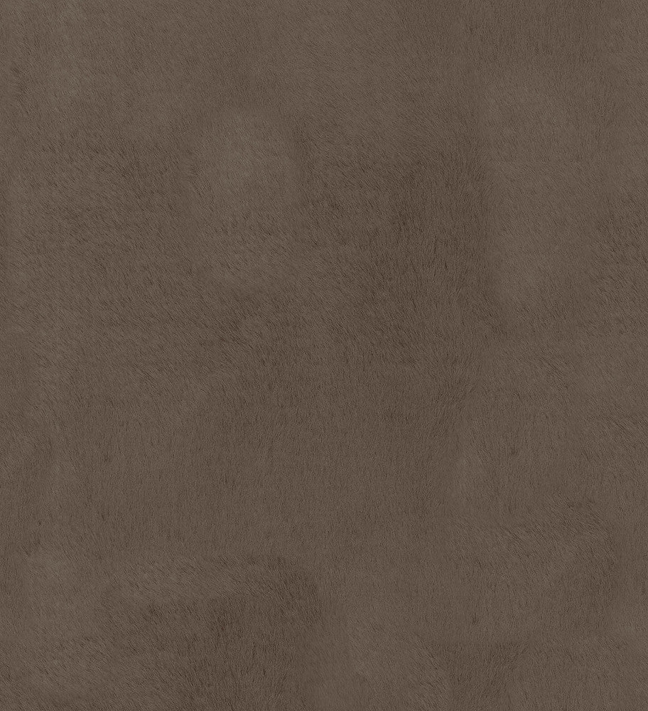 Furocious Bear 404773 by PKL Studio Designer Fabric - 100% POLYESTER China 30000 Horizontal: 0 and Vertical: 0 57 - Swanky Fabrics -