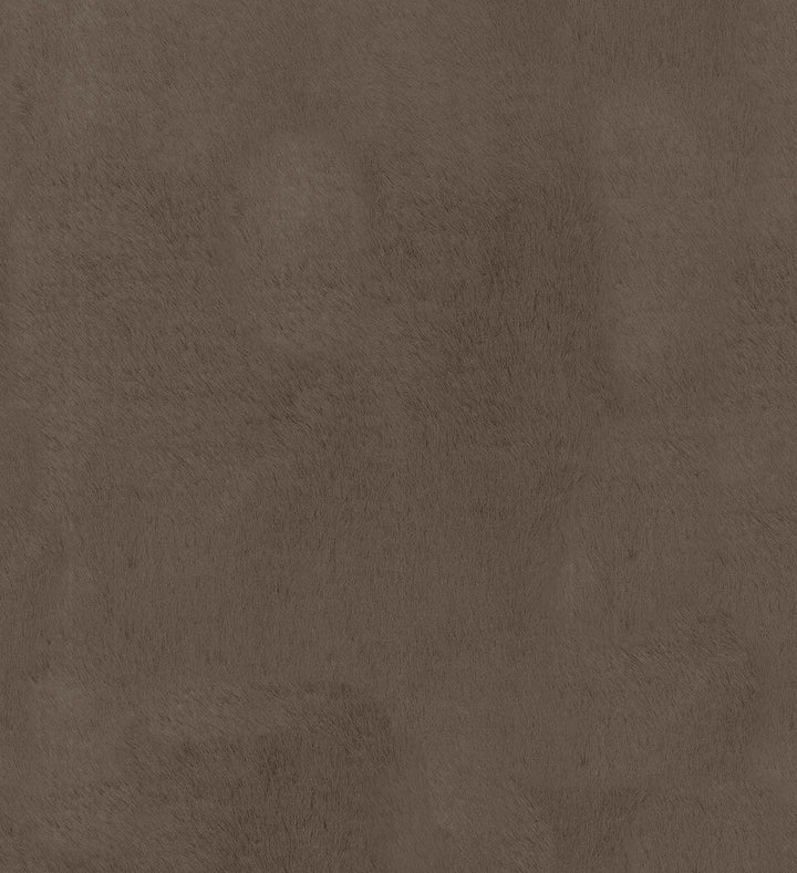Furocious Bear 404773 by PKL Studio Designer Fabric PKL STUDIO JUNE '16 100% Polyester CHINA Wyzenbeek 30,000 Horizontal: 0.00" and Vertical: 0.00" 57" - Swanky Fabrics -