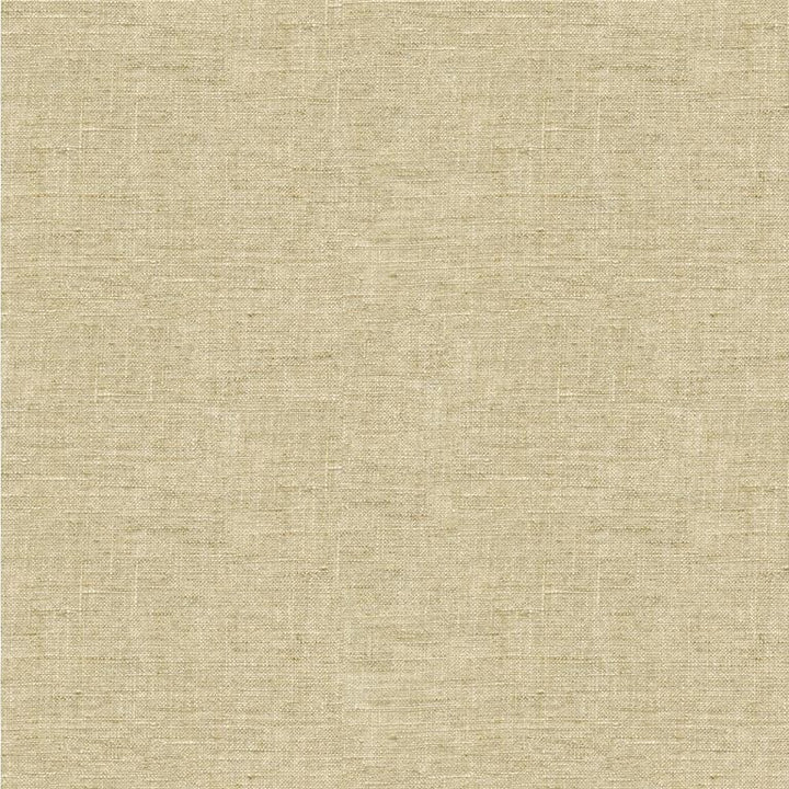 4058.16 by Kravet Basics Designer Fabric our website for purchase Linen 100% India see sample Horizontal: see sample and Vertical: see sample 54 inches - Swanky Fabrics -