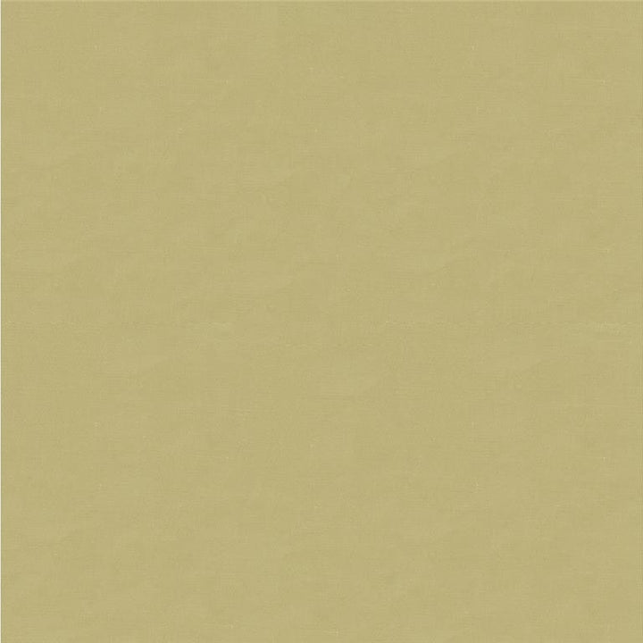 4070.106 by Kravet Design Designer Fabric in our sample Silk 100% India See Sample Horizontal: See Sample and Vertical: See Sample 53.5 inches - Swanky Fabrics -