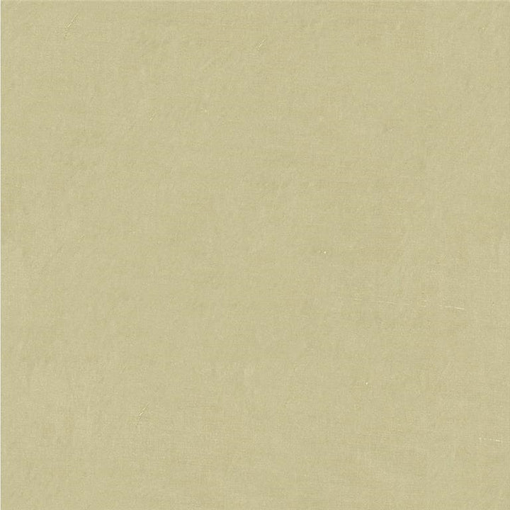 4070.1121 by Kravet Design Designer Fabric in our sample Silk 100% India See Sample Horizontal: See Sample and Vertical: See Sample 53.5 inches - Swanky Fabrics -